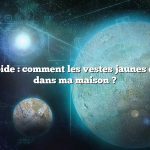 Réponse rapide : comment les vestes jaunes entrent-elles dans ma maison ?